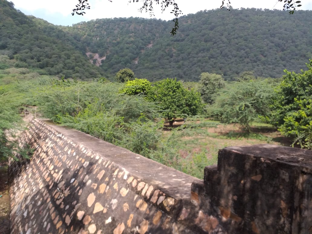 1 Narayani Mata Wala 2009 - Photograph 1