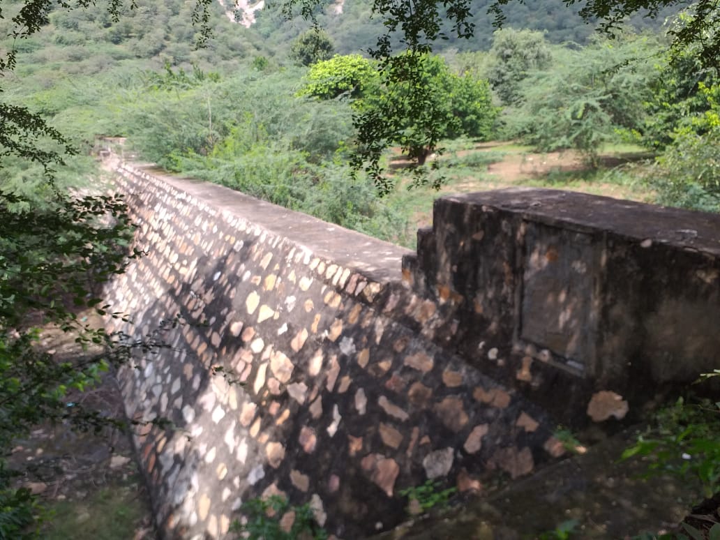 1 Narayani Mata Wala 2009 - Photograph 3