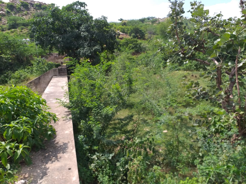 10 Gujrani Wala 2017 - Photograph 2