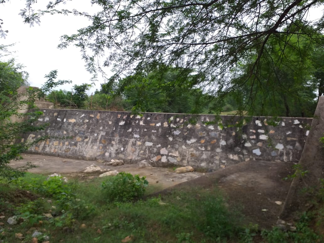 11 Kheda Wala 2017 - Photograph 2