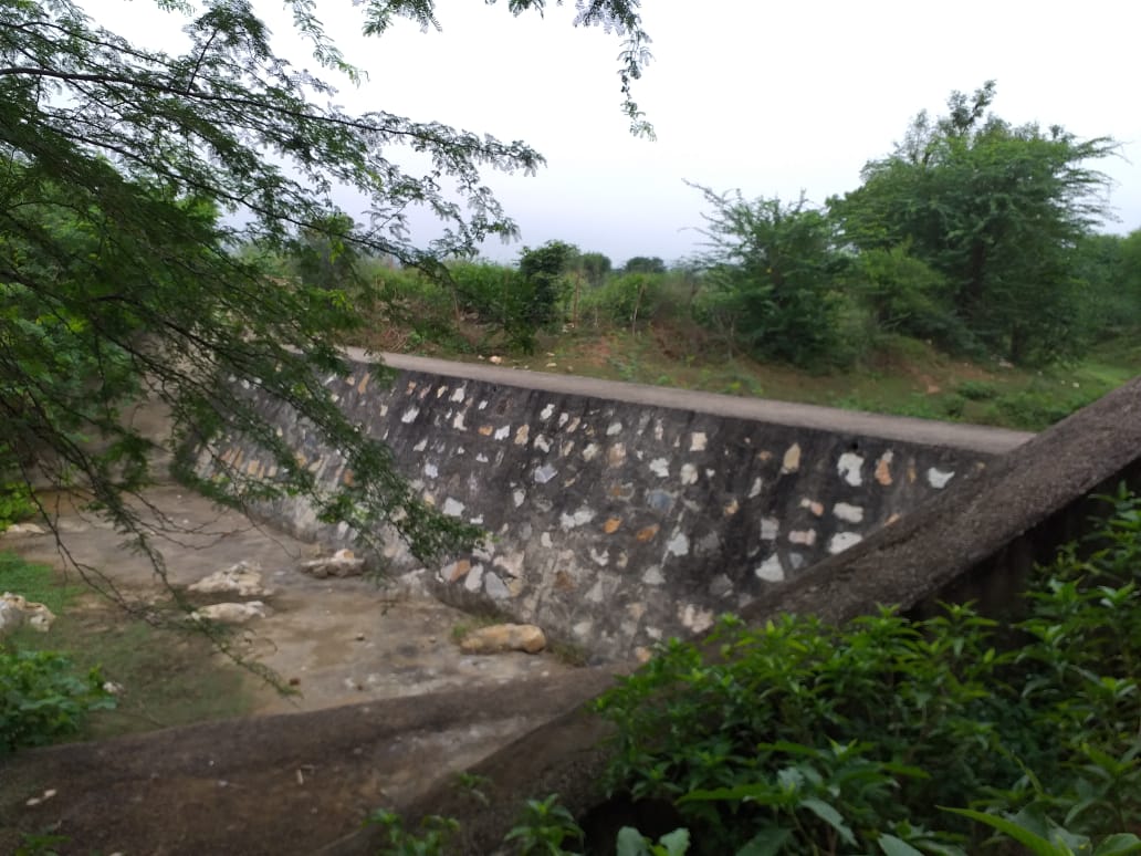 11 Kheda Wala 2017 - Photograph 3