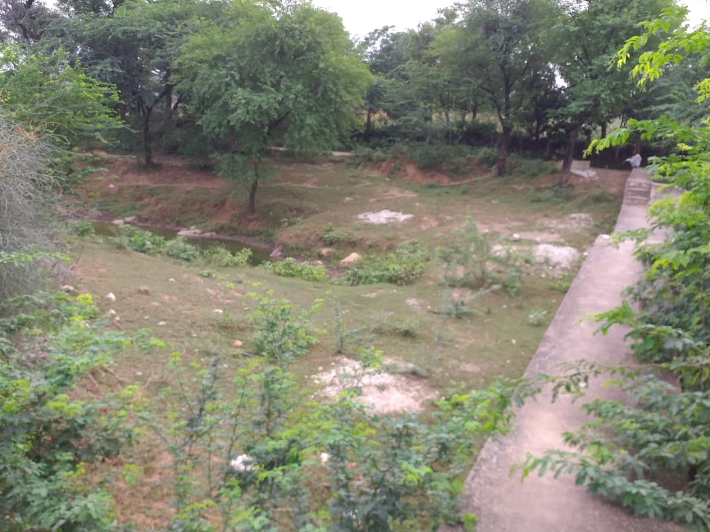 11 Kheda Wala 2017 - Photograph 4