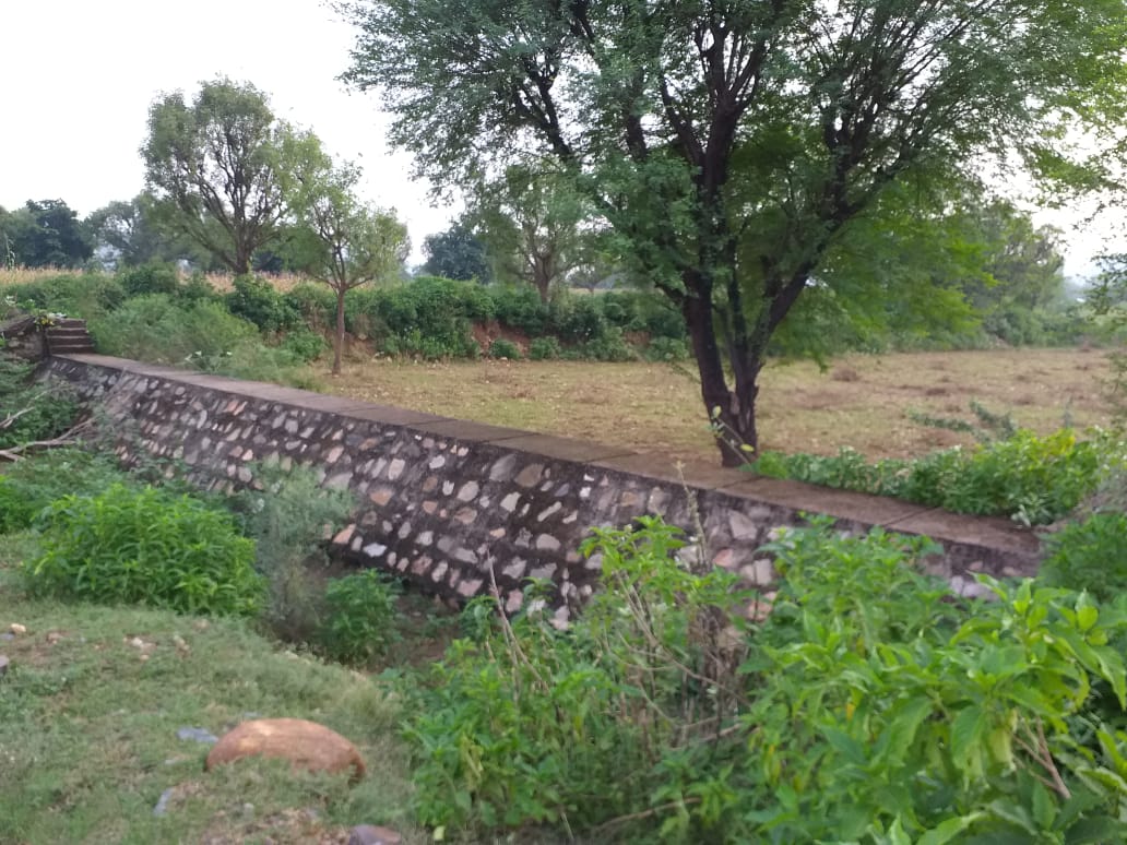 6 Ghatada Wala 2014 - Photograph 1