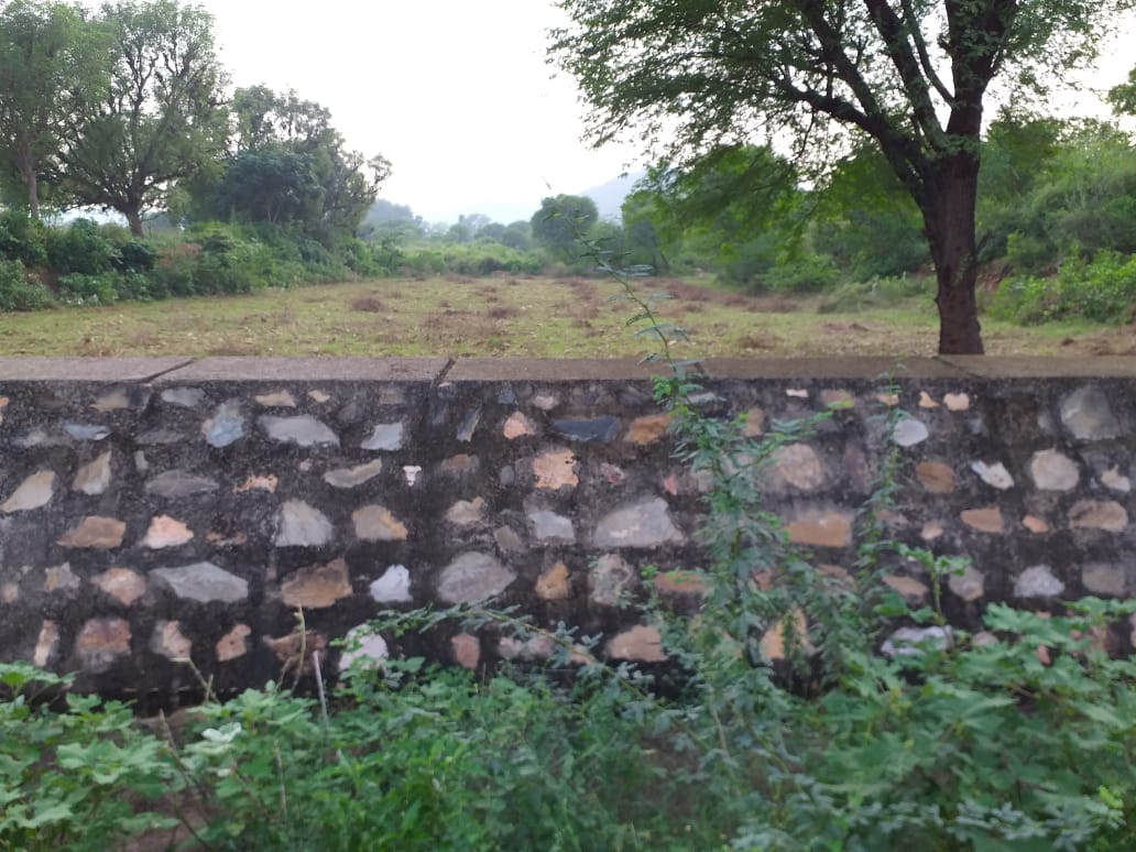 6 Ghatada Wala 2014 - Photograph 2