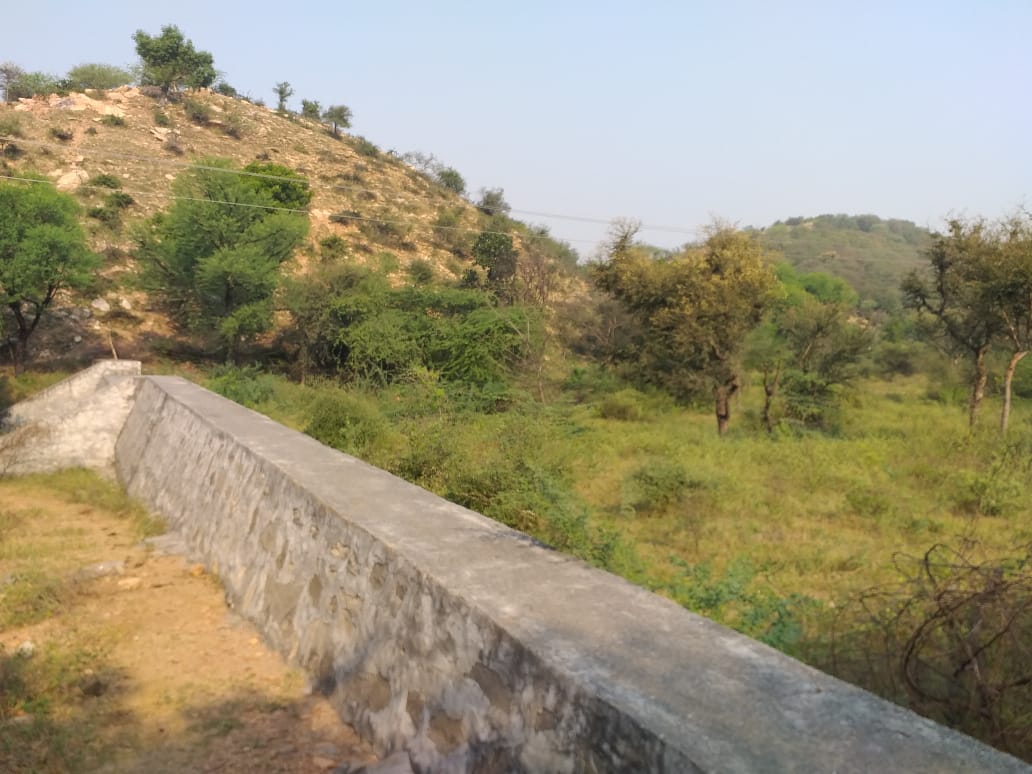 8 Kala Khet Wala 2014 - Photograph 1