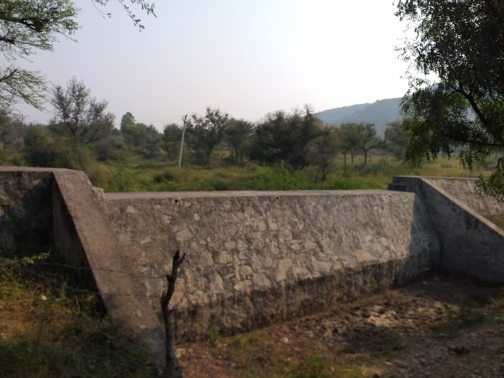 8 Kala Khet Wala 2014 - Photograph 2