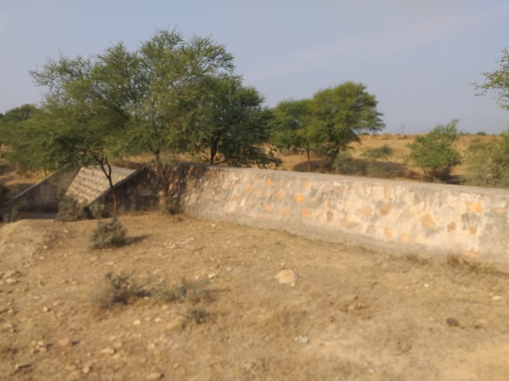 9 Naru Wala 2014 - Photograph 1